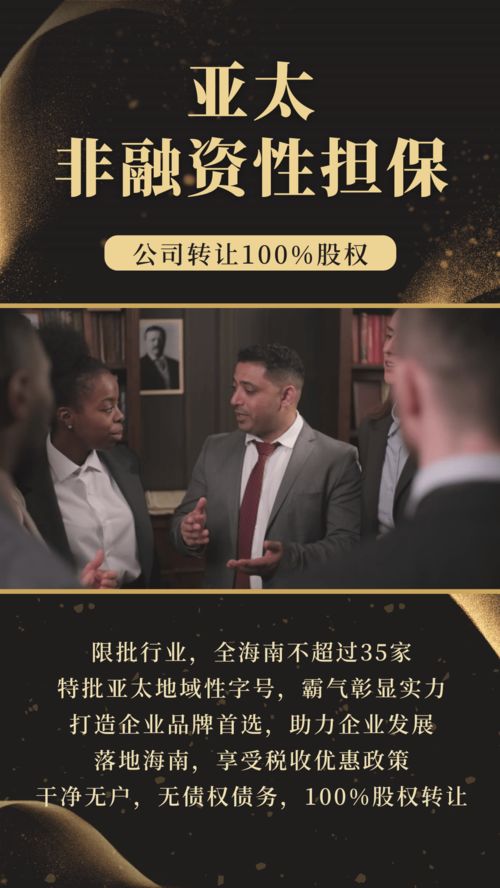 霸气字号布局海南板块 亚太非融资性担保公司在海南的战略发展