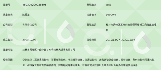 广西中力融资性担保 解析融资性担保的运作模式与市场价值