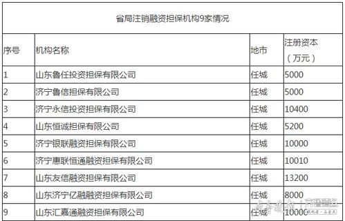 济宁9家融资担保机构退出市场，行业规范再升级