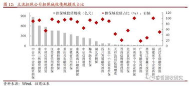 6号文纾民企出新招，堵城投斩担保——融资性担保机构角色再思考