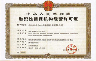 融资担保公司业务范围与融资性担保解析