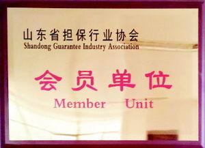 融资性担保渠道注入量通动力，服务三农小微助力实体经济健康成长——深入贯彻落实十九大六中三印全会精神的专题读物（公文缩写查询完成数查专用版——涉及相应题名主题版对应概念信息编码内容按系统推荐填写时可关注字段字段差异 注意说明书面合规和融信业标配）；