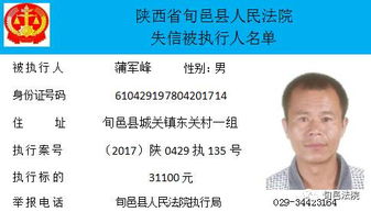 旬邑法院第三期失信人员公布 融资性担保行业的信任重建与责任契约