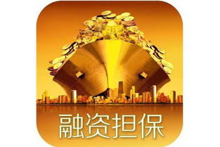 融资性担保公司牌照申请条件