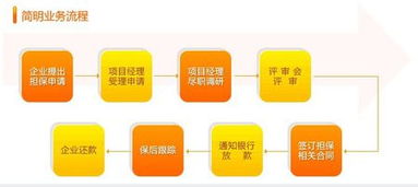 融资性担保公司的业务流程与核心运作机制